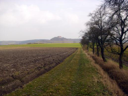 Blick auf Burg Hoheneck 2009